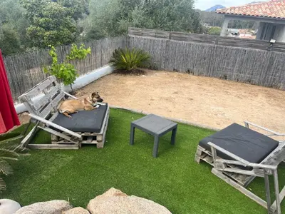 a dog laying on a chair in a yard at Villa Orethaga Piscine 10 pers porto Vecchio in Porto-Vecchio
