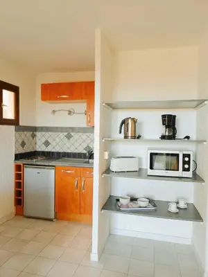 a kitchen with a stove and a microwave at Residence Maïna in Cargèse
