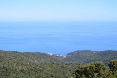 a view of a mountain with trees and the sky at FILETTA in Sari Solenzara