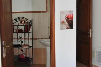 a bathroom with a sink and a mirror and a shelf at Chambres d'hôtes Le Clos des Oliviers in Sorbo-Ocagnano