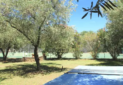 a statue of a plane flying over a park at Chambres d'hôtes Le Clos des Oliviers in Sorbo-Ocagnano