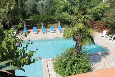 a palm tree sitting next to a swimming pool at Chambres d'hôtes Le Clos des Oliviers in Sorbo-Ocagnano