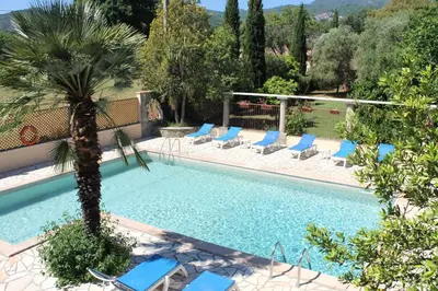 a swimming pool with chairs and a palm tree at Domaine Le Clos des Oliviers in Sorbo-Ocagnano
