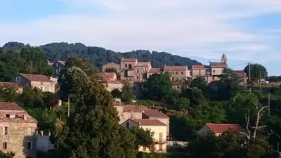 a village on a hill with houses and trees at U San Larenzu in Aullène