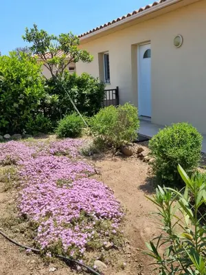 a yard with pink flowers in front of a house at A Dugana in Lecci