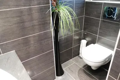 a bathroom with a toilet and a plant at Chez Virginie in Porto-Vecchio