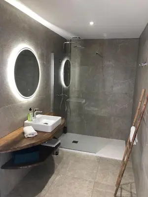 a bathroom with a sink and a shower at Auberge les Oliviers in Lucciana