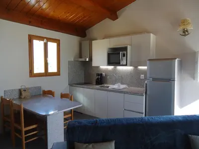 a kitchen with a refrigerator and a table and a counter at Résidence & SPA Marina d'Arone in Piana
