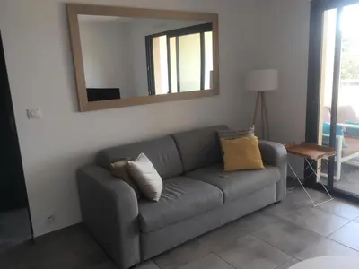 a living room with a gray couch and a mirror at Domaine du Frasso in Grosseto-Prugna