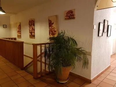 a hallway with a potted plant in a building at Hotel & Restaurant le Saint Jean in Cargèse