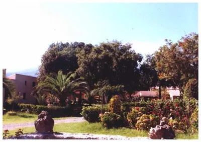 a garden with bushes and trees and a building at Domaine de l'Avidanella in Santa-Lucia-di-Moriani