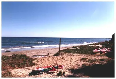 a beach with a group of people laying on the sand at Domaine de l'Avidanella in Santa-Lucia-di-Moriani