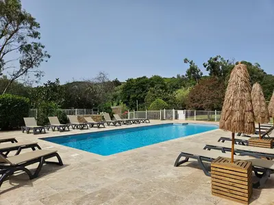a swimming pool with chaises and umbrellas next to at CARDELLINI 23 in Sari Solenzara
