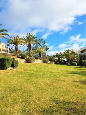 a field of grass with palm trees in the background at CARDELLINI 23 in Sari Solenzara