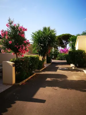 a walkway with trees and bushes and pink flowers at Hotel & Restaurant San Pellegrino in Folelli