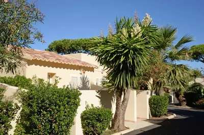 a white house with a palm tree and bushes at Hotel & Restaurant San Pellegrino in Folelli