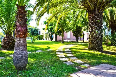 a path between two palm trees in a park at Résidence Valledoro in Valle-di-Campoloro