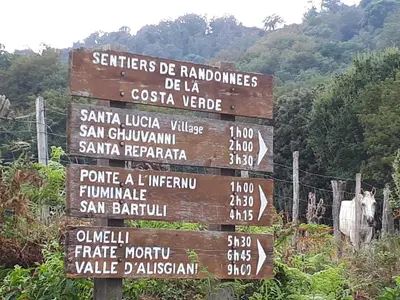 a sign with many arrows on it with a cow at OSARI - MORIANI plage in Moriani Plage