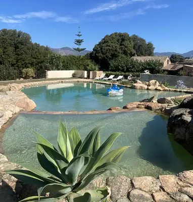 a pool of water with a plant in the foreground at Maison Le Citronnier avec piscine - Domaine E Case Di Cuttoli in Cuttoli-Corticchiato