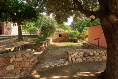 a stone wall next to a tree and a building at Maison L'Olivier avec piscine in Cuttoli-Corticchiato