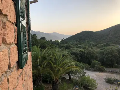 a window of a building with a palm tree and mountains at L'Aiglon in Serriera