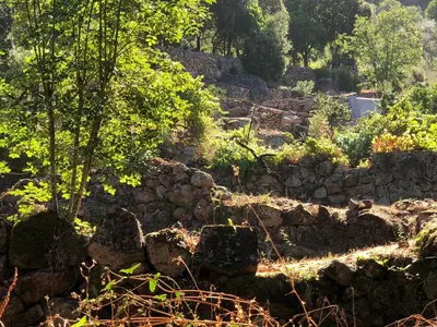 a stone wall with a tree and some rocks at L'Aiglon in Serriera