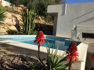 a swimming pool with red flowers in a yard at VIzzavona piscine et jacuzzi in Ajaccio