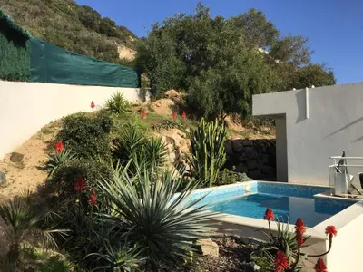a swimming pool in a garden with plants at VIzzavona piscine et jacuzzi in Ajaccio