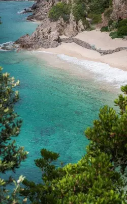a beach with turquoise water and some trees at Hotel Bartaccia in Propriano