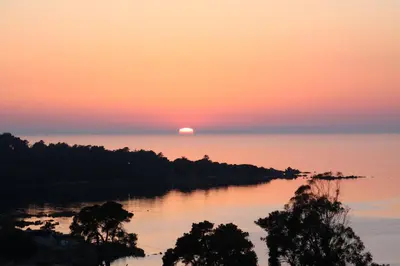 a sunset over a body of water with trees at Appartements L'Acacia - plage d'Argent à 300m in Coti-Chiavari