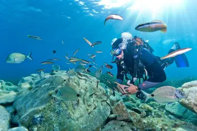 a person in the ocean looking at fish at T2 au coeur de Porticcio - Vue mer Imprenable ! in Grosseto-Prugna