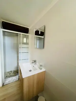 a bathroom with a sink and a mirror at Palauma Plage in Sari Solenzara