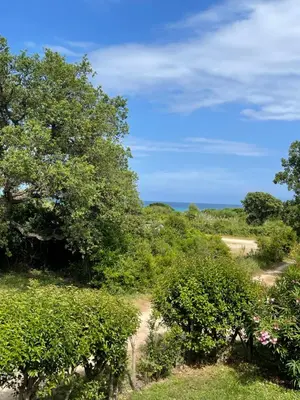 a dirt road through a field with trees at Palauma Plage in Sari Solenzara