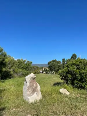 a rock in the middle of a grass field at Palauma Plage in Sari Solenzara