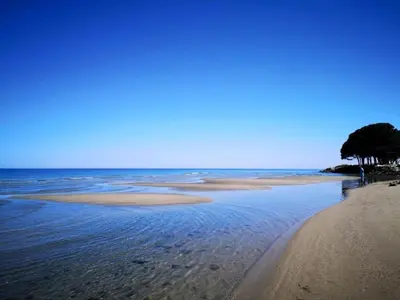 a beach with a tree and the ocean at Holiday Home Moriani-Plage with Pool in San-Nicolao