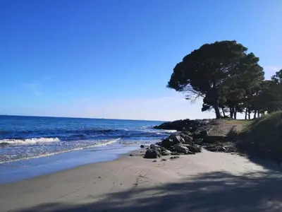 a sandy beach with a tree and the ocean at Holiday Home Moriani-Plage with Pool in San-Nicolao