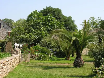 a palm tree in a yard next to a stone wall at Holiday Home Moriani-Plage with Pool in San-Nicolao