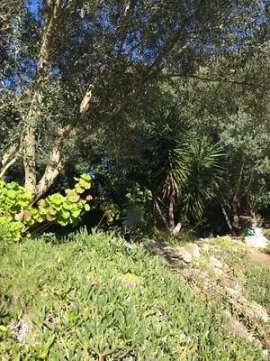 a garden with flowers and trees and grass at Résidence hôtelière A TRAMA in Bonifacio