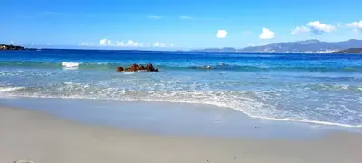 a group of people swimming in the ocean at Casa Mina in Pietrosella