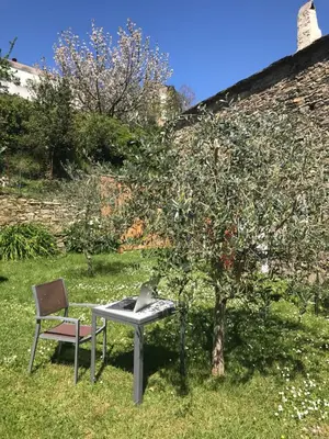 a table and a chair next to an apple tree at Maison de charme Corse sauvage in Pietra-di-Verde