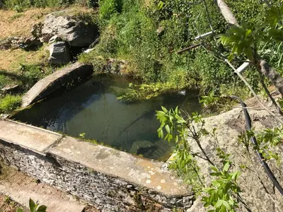 a small pool of water in a field at Maison de charme Corse sauvage in Pietra-di-Verde