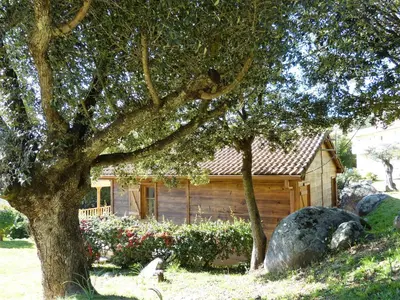 a log cabin with a tree and some flowers at Magnifique chalet vue mer, a quelques minutes des plages in Olmeto