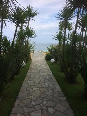 a stone pathway with palm trees and the ocean at Les pieds dans l'eau en Corse ! in Moriani Plage