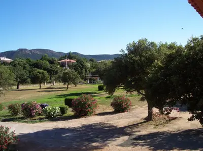 a park with bushes and trees and a tree at residence Catalani in Zonza
