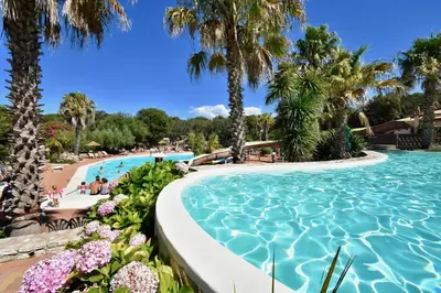 a swimming pool at a resort with palm trees at Les Suites De Pertamina in Bonifacio