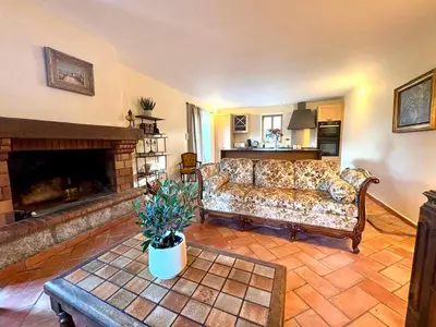 a living room with a couch and a fireplace at Maison de campagne, deux chambres, vue sur les montagnes in Sartène
