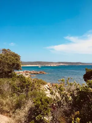 a view of a body of water with rocks and trees at A GIOIA DI CAMPA in Figari