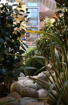 a garden with rocks and plants in a building at Vanina Park in Corte