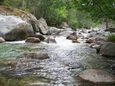a stream of water with rocks and trees at Vanina Park in Corte