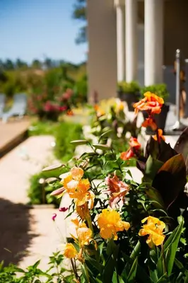 a bunch of flowers in a garden at I Casilari in Serra-di-Ferro